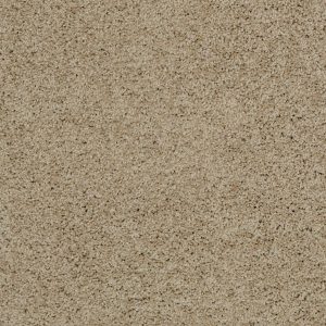 Shaw Floors Retail KEEN SENSES I - 00108 SAFARI