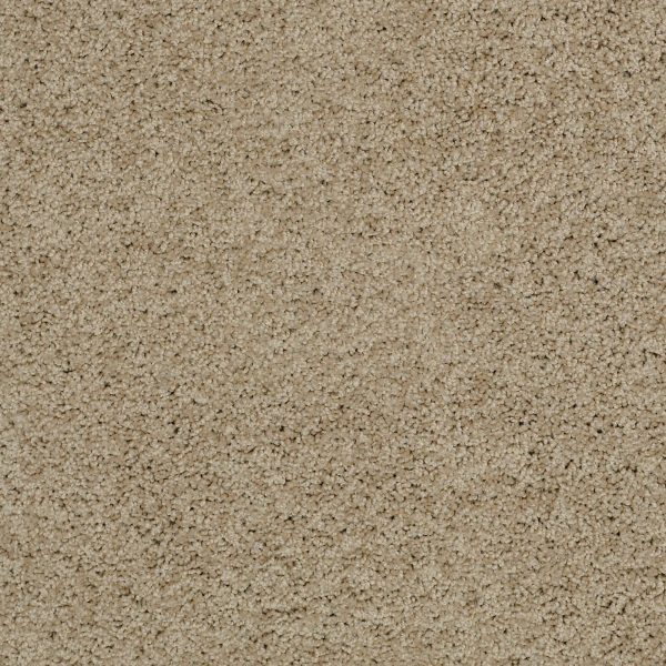 Shaw Floors Retail KEEN SENSES I - 00108 SAFARI