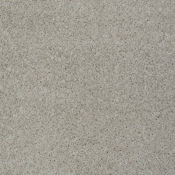 Shaw Floors Retail KEEN SENSES I - 00150 MINDFUL