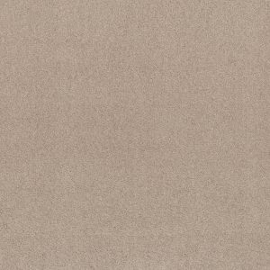 Shaw Floors Retail KEEN SENSES I - 00151 BARISTA