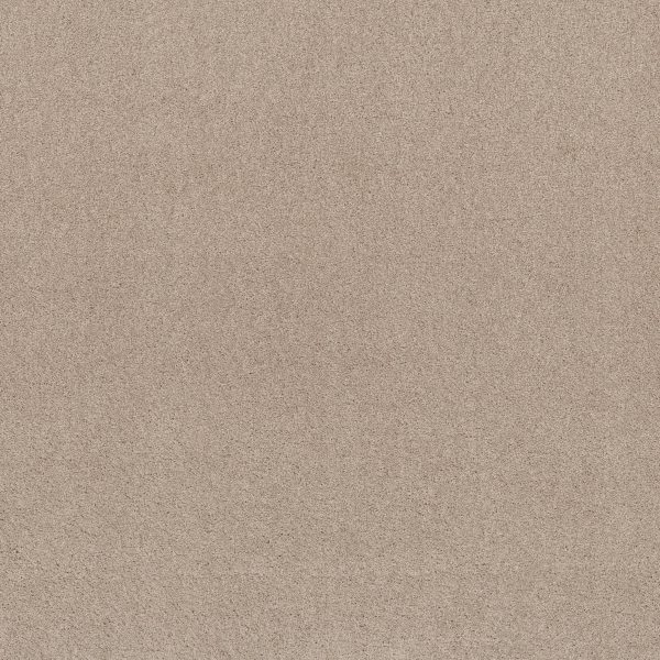 Shaw Floors Retail KEEN SENSES I - 00151 BARISTA