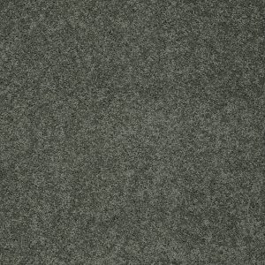 Shaw Floors Retail KEEN SENSES I - 00351 LUSH GARDEN