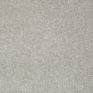 Shaw Floors Retail KEEN SENSES I - 00550 LADY IN GRAY