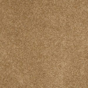 Shaw Floors Retail KEEN SENSES I - 00722 WARMTH