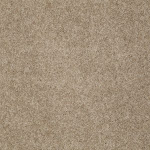 Shaw Floors Retail KEEN SENSES I - 00756 GROUNDED