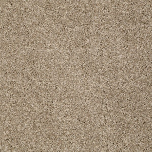 Shaw Floors Retail KEEN SENSES I - 00756 GROUNDED