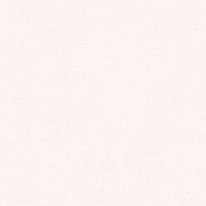 Shaw Floors Retail KEEN SENSES II - 00170 WHITE HOT