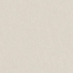 Shaw Floors Retail KEEN SENSES II - 00171 CRISP LINEN