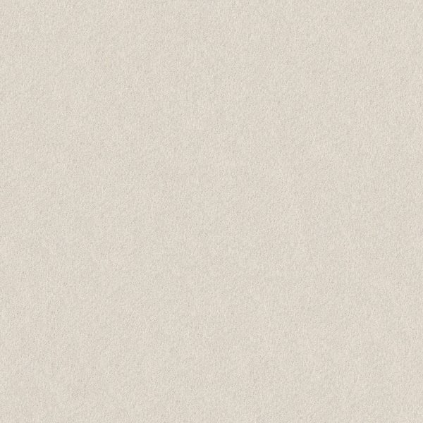 Shaw Floors Retail KEEN SENSES II - 00171 CRISP LINEN