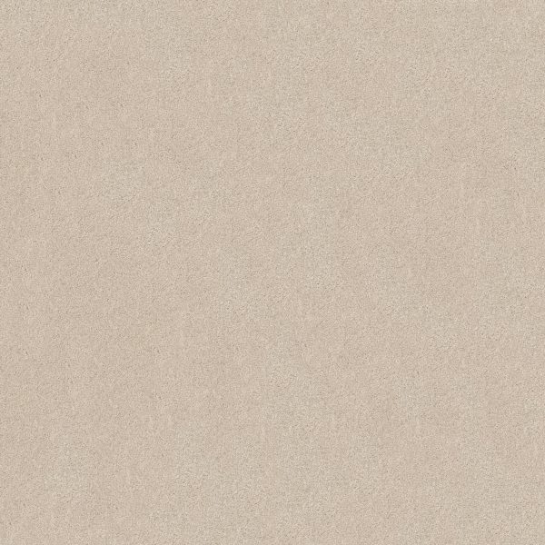 Shaw Floors Retail KEEN SENSES II - 00172 ALABASTER