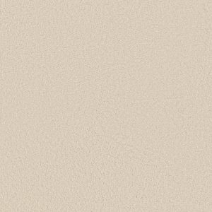 Shaw Floors Retail KEEN SENSES II - 00100 IVORY PAPER