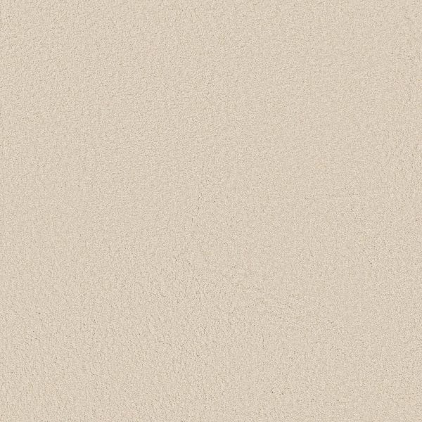 Shaw Floors Retail KEEN SENSES II - 00100 IVORY PAPER