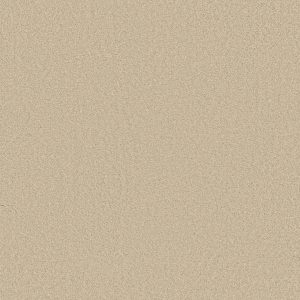 Shaw Floors Retail KEEN SENSES II - 00101 TREASURE