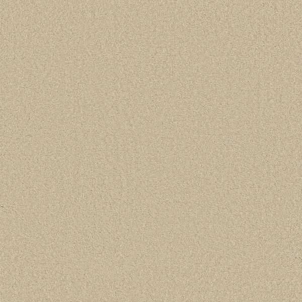 Shaw Floors Retail KEEN SENSES II - 00101 TREASURE