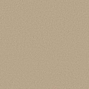 Shaw Floors Retail KEEN SENSES II - 00103 SHORELINE