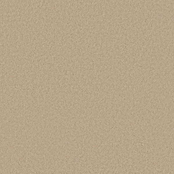 Shaw Floors Retail KEEN SENSES II - 00103 SHORELINE