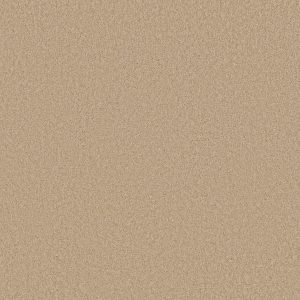 Shaw Floors Retail KEEN SENSES II - 00105 GOLDEN RULE