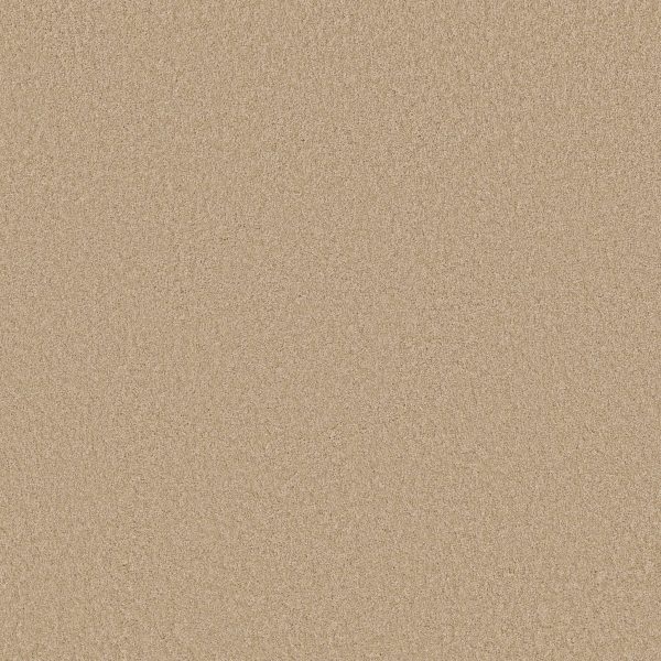 Shaw Floors Retail KEEN SENSES II - 00105 GOLDEN RULE