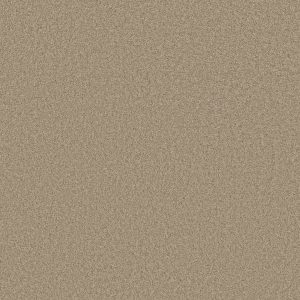 Shaw Floors Retail KEEN SENSES II - 00108 SAFARI