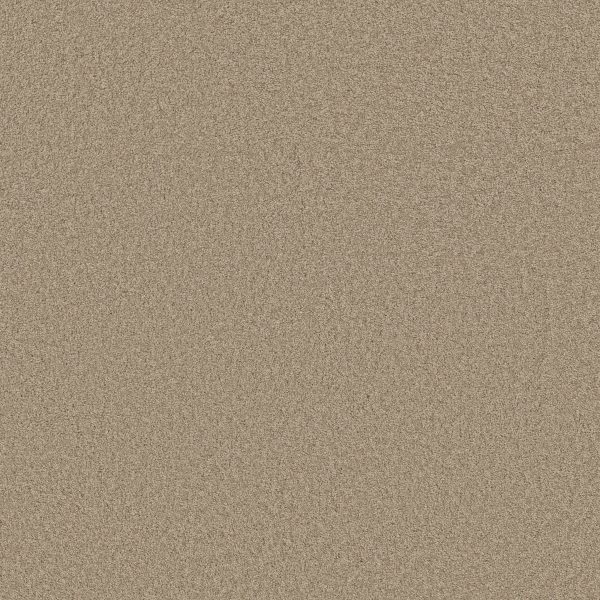 Shaw Floors Retail KEEN SENSES II - 00108 SAFARI