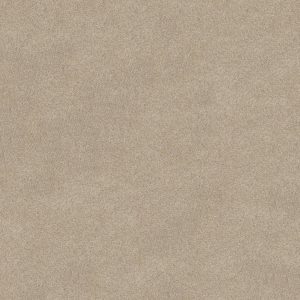 Shaw Floors Retail KEEN SENSES II - 00151 BARISTA