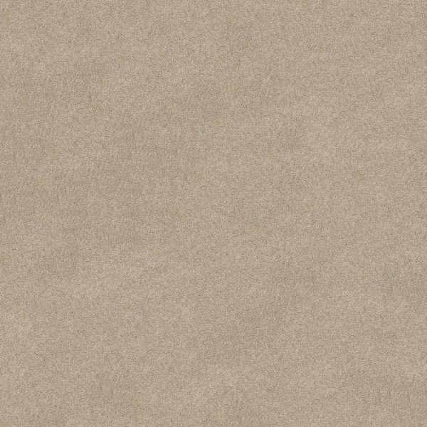 Shaw Floors Retail KEEN SENSES II - 00151 BARISTA