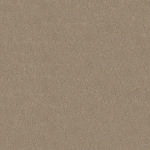 Shaw Floors Retail KEEN SENSES II - 00152 ESPRESSO