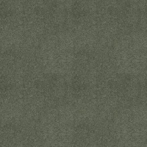 Shaw Floors Retail KEEN SENSES II - 00351 LUSH GARDEN