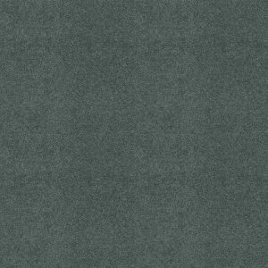 Shaw Floors Retail KEEN SENSES II - 00453 OCEANSIDE