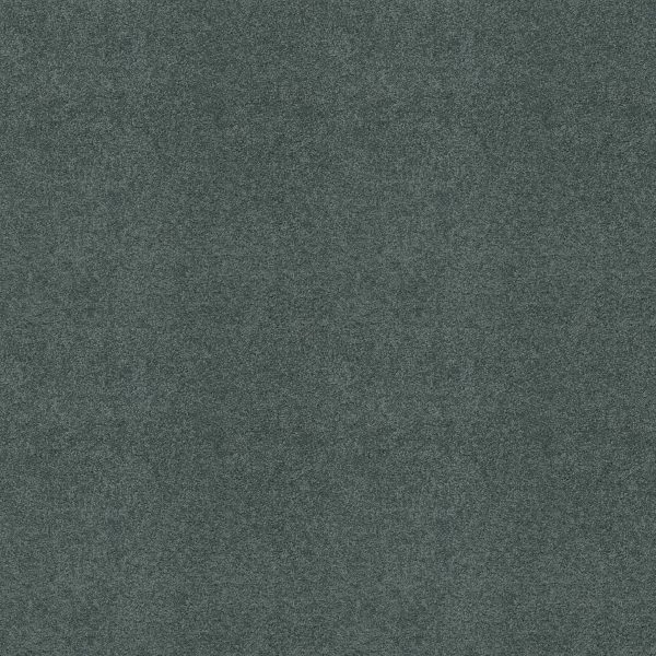 Shaw Floors Retail KEEN SENSES II - 00453 OCEANSIDE