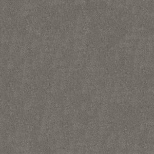 Shaw Floors Retail KEEN SENSES II - 00570 SLATE