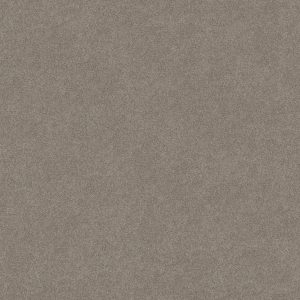 Shaw Floors Retail KEEN SENSES II - 00550 LADY IN GRAY