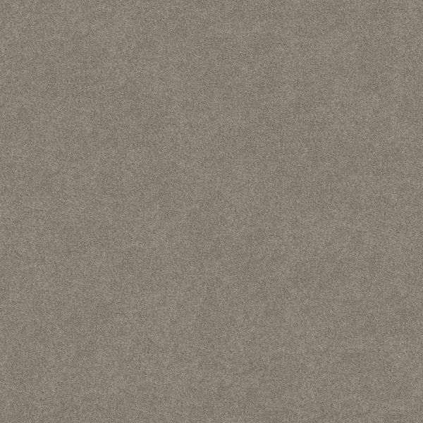 Shaw Floors Retail KEEN SENSES II - 00550 LADY IN GRAY