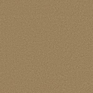 Shaw Floors Retail KEEN SENSES II - 00722 WARMTH