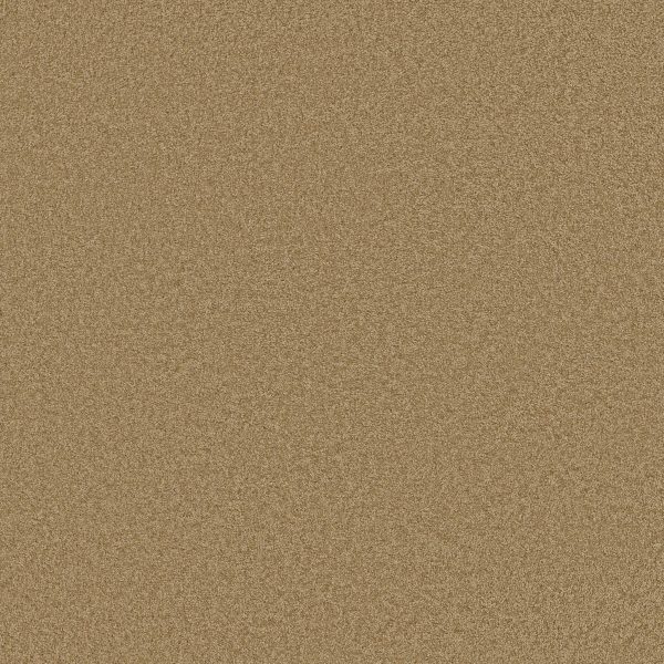 Shaw Floors Retail KEEN SENSES II - 00722 WARMTH
