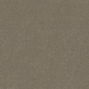 Shaw Floors Retail KEEN SENSES II - 00750 MOCHA