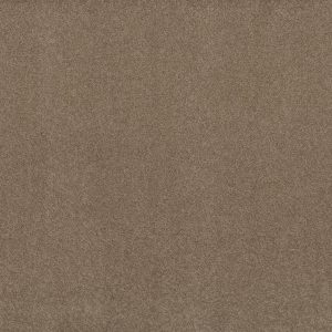 Shaw Floors Retail KEEN SENSES II - 00756 GROUNDED