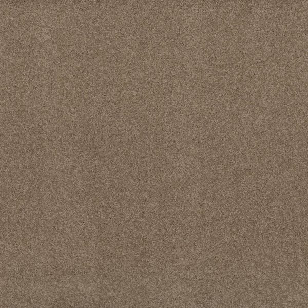 Shaw Floors Retail KEEN SENSES II - 00756 GROUNDED