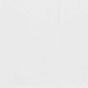 Shaw Floors Retail INFALLIBLE INSTINCT - 00170 WHITE HOT