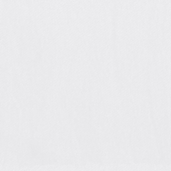 Shaw Floors Retail INFALLIBLE INSTINCT - 00170 WHITE HOT