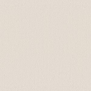 Shaw Floors Retail INFALLIBLE INSTINCT - 00171 CRISP LINEN