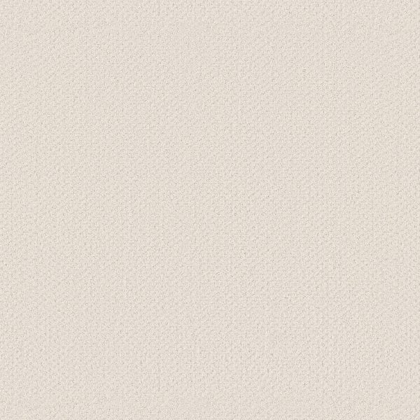 Shaw Floors Retail INFALLIBLE INSTINCT - 00171 CRISP LINEN