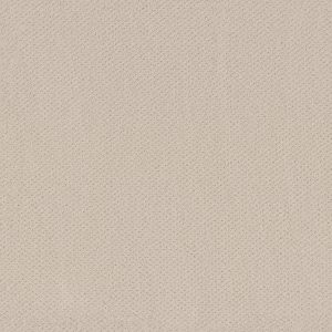 Shaw Floors Retail INFALLIBLE INSTINCT - 00172 ALABASTER