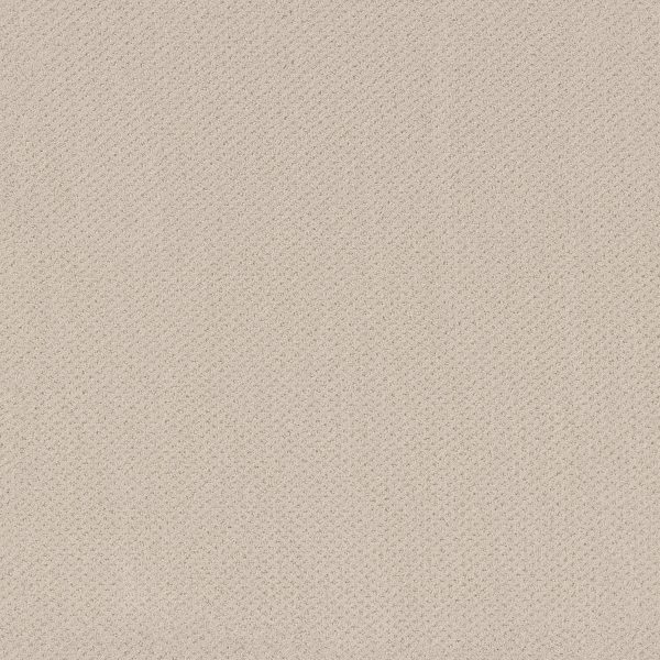 Shaw Floors Retail INFALLIBLE INSTINCT - 00172 ALABASTER