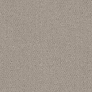 Shaw Floors Retail INFALLIBLE INSTINCT - 00173 STUDIO TAUPE