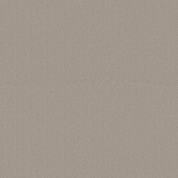 Shaw Floors Retail INFALLIBLE INSTINCT - 00173 STUDIO TAUPE