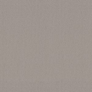 Shaw Floors Retail INFALLIBLE INSTINCT - 00175 QUIET MOMENT