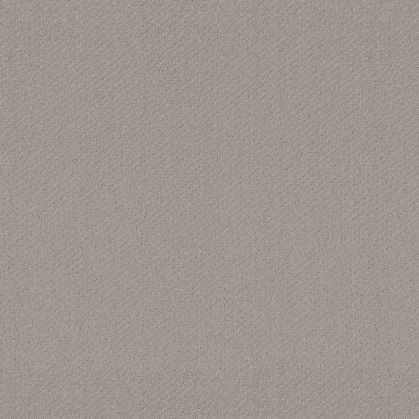 Shaw Floors Retail INFALLIBLE INSTINCT - 00175 QUIET MOMENT