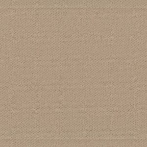 Shaw Floors Retail INFALLIBLE INSTINCT - 00102 SOFT HONEY