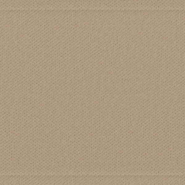 Shaw Floors Retail INFALLIBLE INSTINCT - 00102 SOFT HONEY